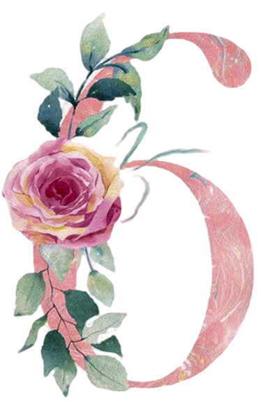 N. 6 - Railda Guimarães Assessoria aos Noivos e Debutantes